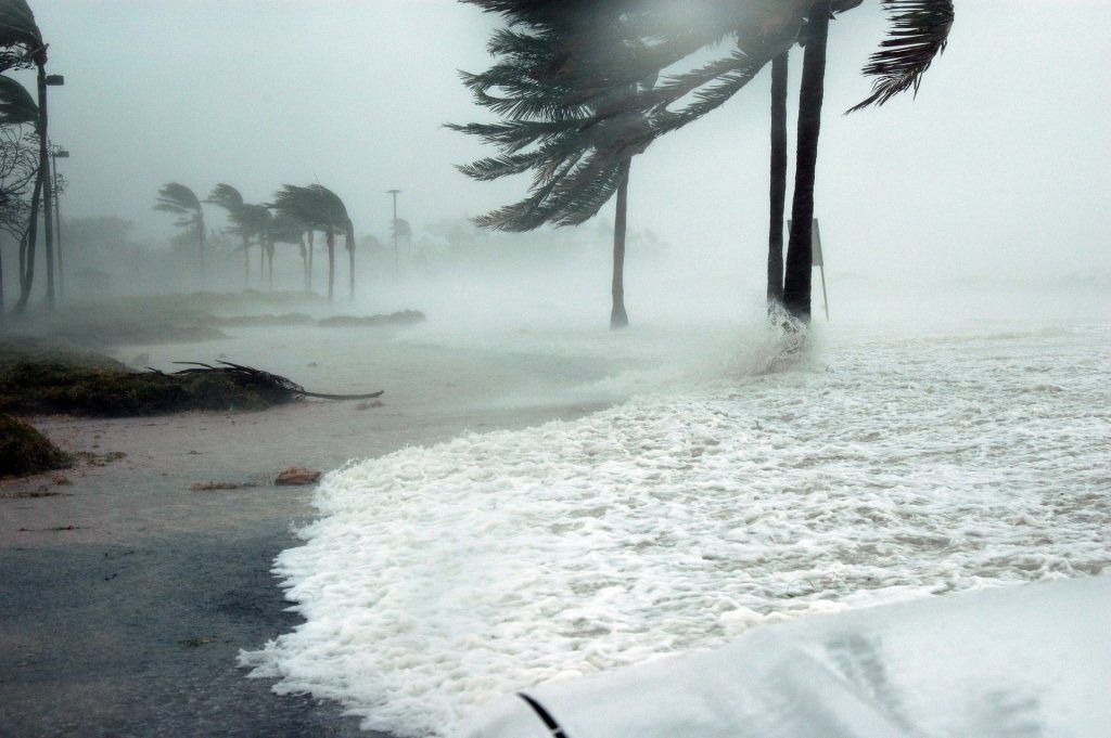 coastal storm: dark skies, heavy rain, turbulent waves, and bending trees.