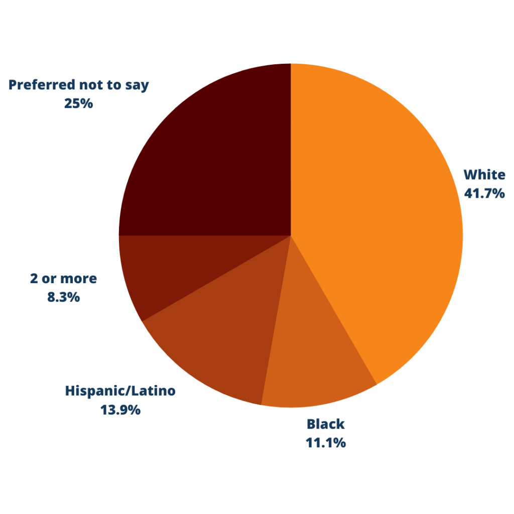 racial diversity breakdown: white, prefer not to say, hispanic/latino, black, 2 or more.