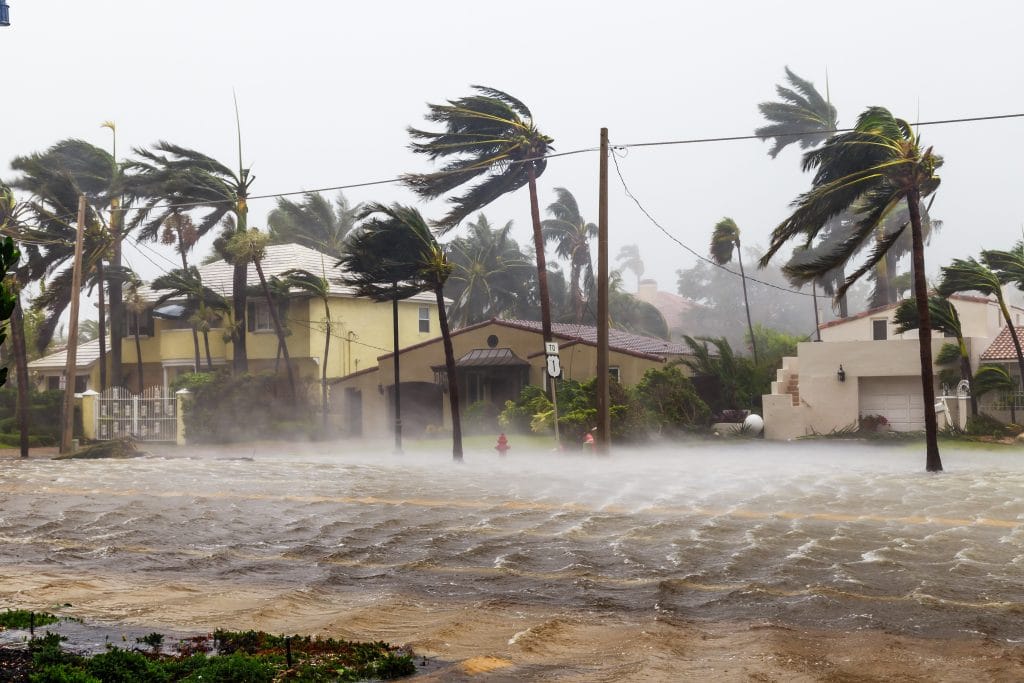 intense tropical storm with flooded streets, bending palm trees, and dark clouds overhead.